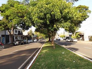 ALUGA-SE SALÃO TERREO AV. DR ALEXANDRE RASGULAEFF