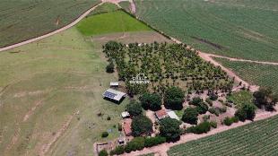 Este SÍTIO com 2,25 em Iguaraçu está para VENDA – Próximo a Maringá PR
