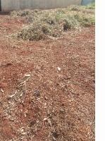 Imagem do anuncio Terreno em Marilena próximo do Porto Maringá