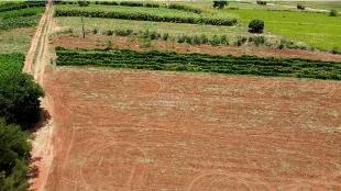 SÍTIO À VENDA ALTO PARANÁ  3,25 ALQUEIRES – PARANÁ