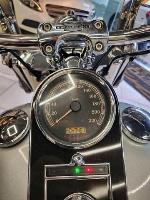 HARLEY-DAVIDSON FLSTN 2015