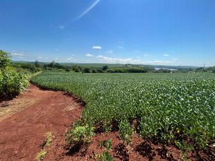 PROPRIEDADE RURAL NA BEIRA DO RIO IVAÍ
